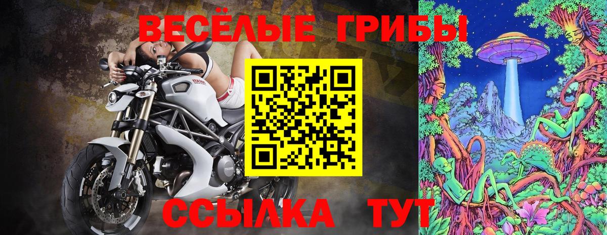 Мелеуз  Псилоцибиновые грибы мицелий  Вход с VPN  Галлюциногенные грибы Psilocybine cubensis 