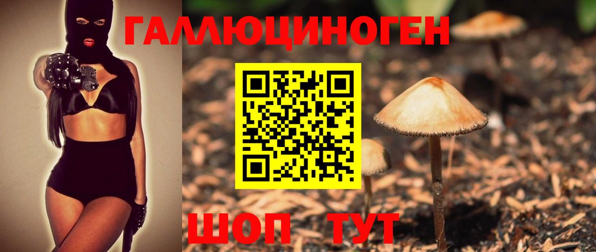 Псилоцибиновые грибы Cubensis Мелеуз